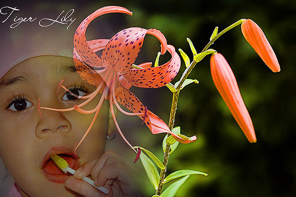 Ms Lollipop and tiger lilly.