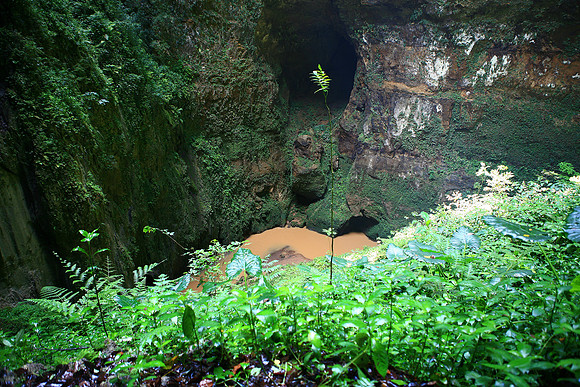 C5D - VAC 2007 - CAMUY CAVERNS 456 AB