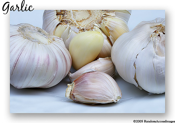 Garlic